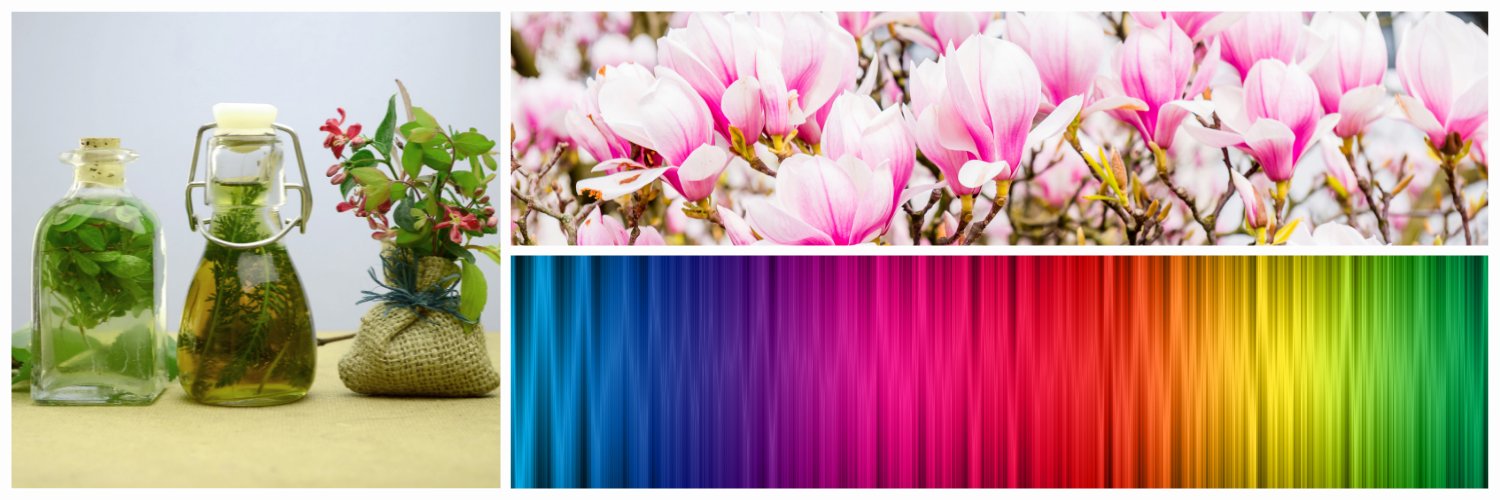 AshleighGrange's profile banner image