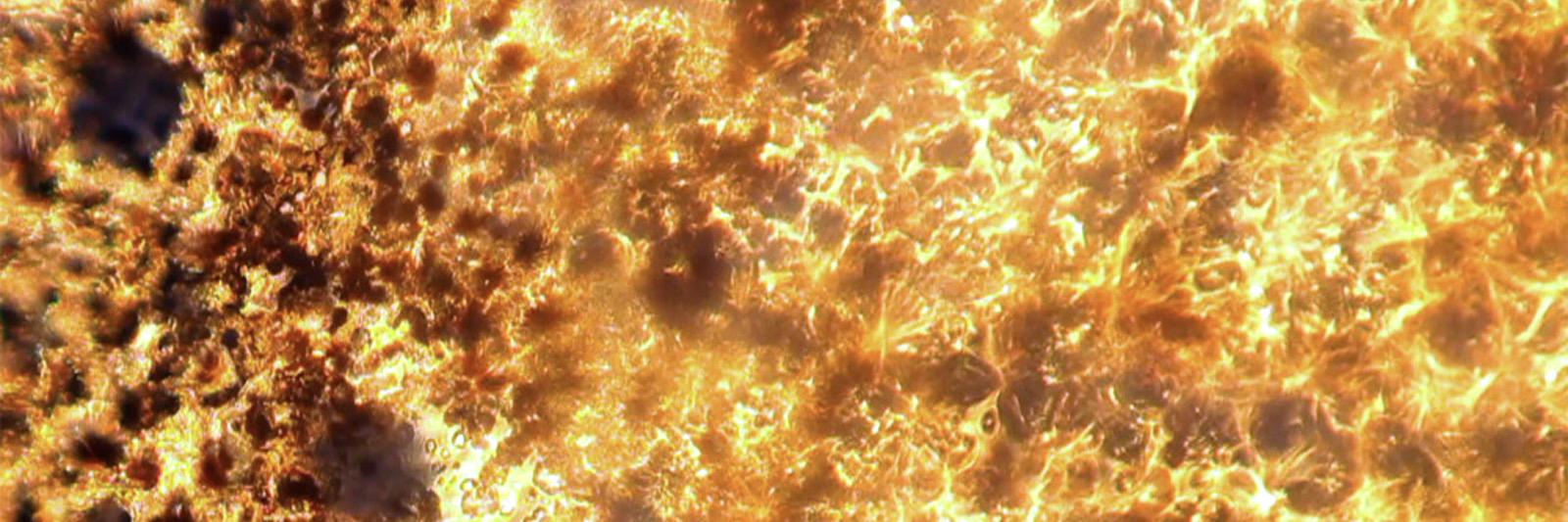 Mark Cetilia banner