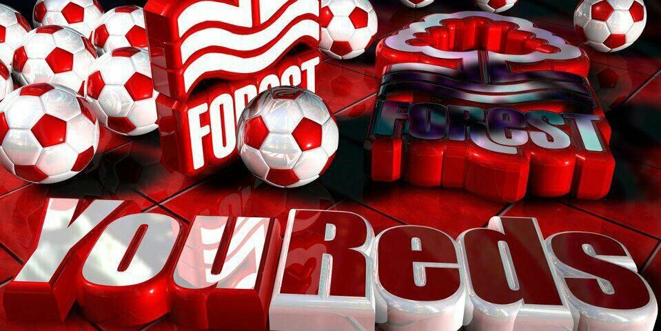 REECE SIMO NFFC banner