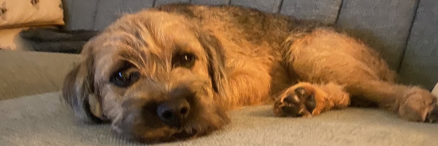 Fossy 🐏 🐾 banner