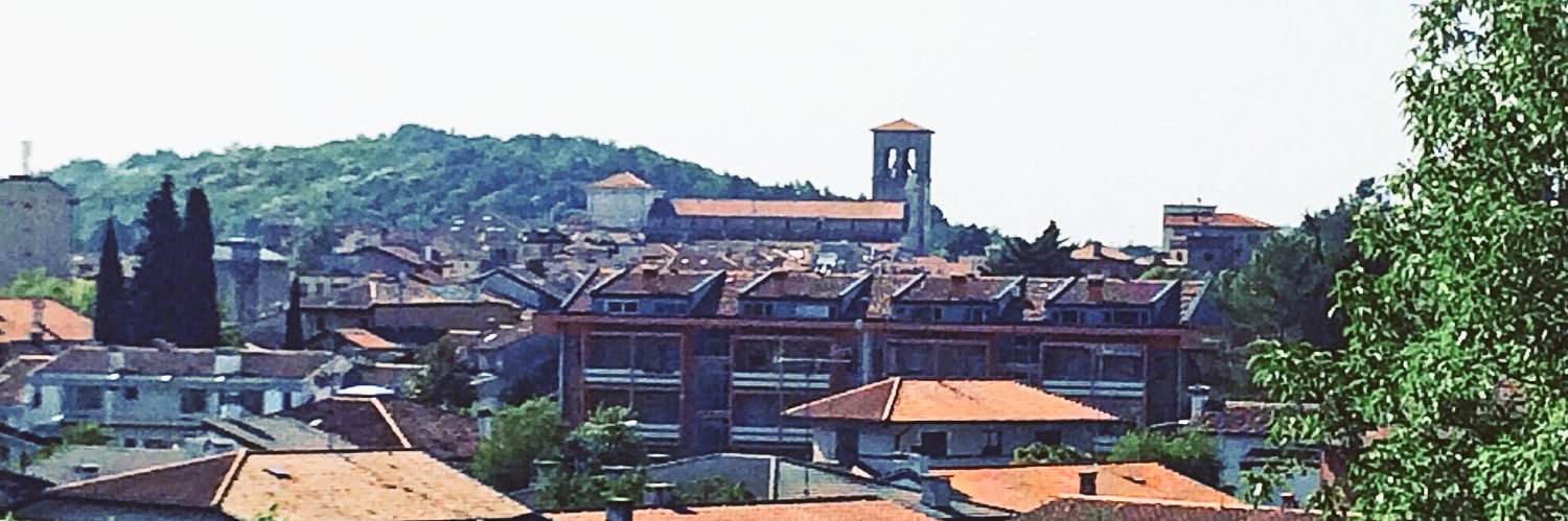 LucaBraidotti's profile banner image