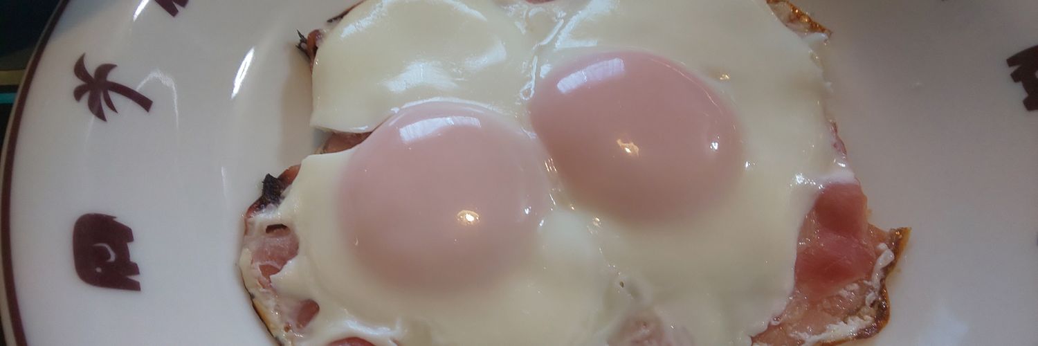 Taru_san's profile banner image