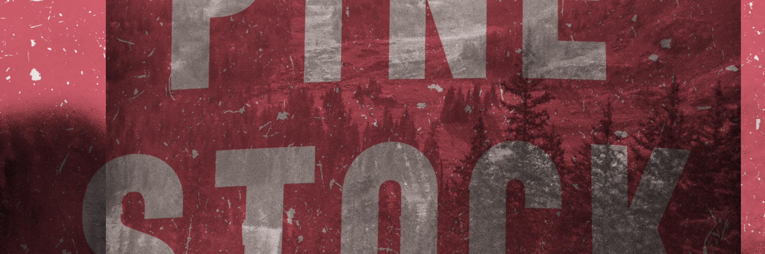 PinestockFest's profile banner image