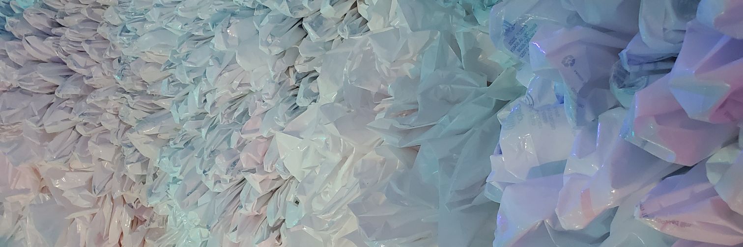 FrancesJin1's profile banner image