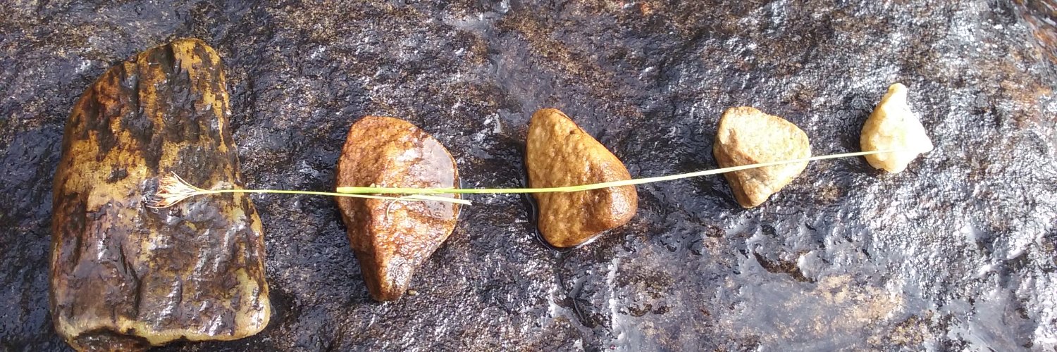 phil jones (he/him - ele) @interstar@artoot.xyz banner