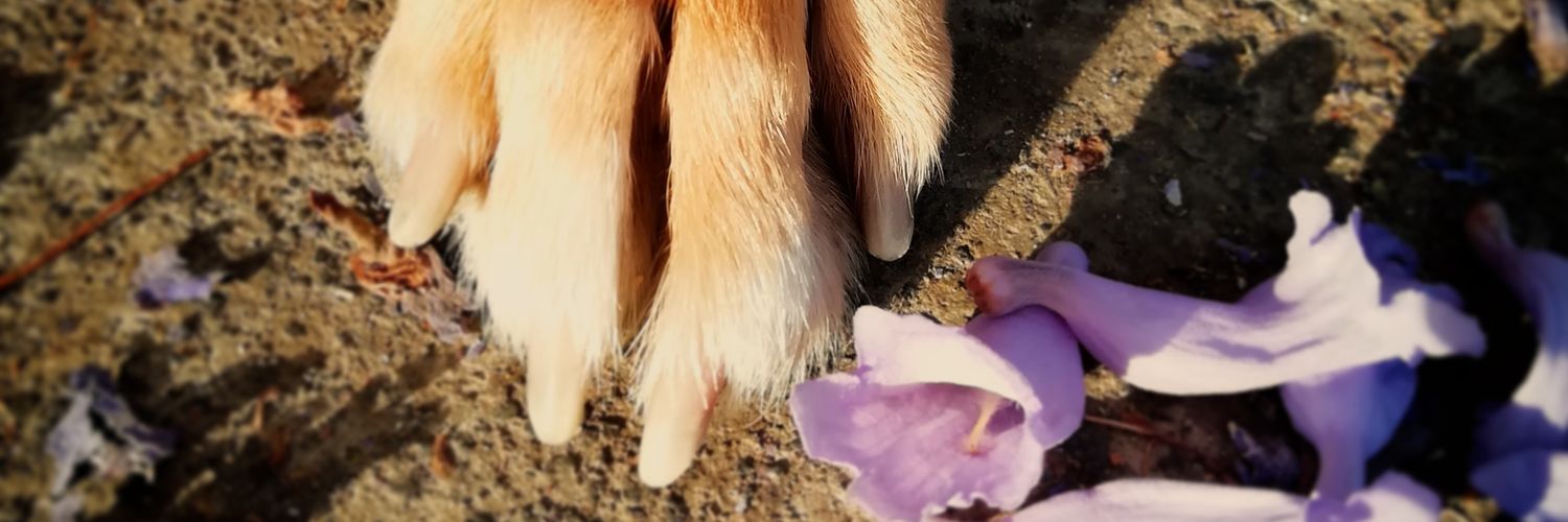 patyeend's profile banner image