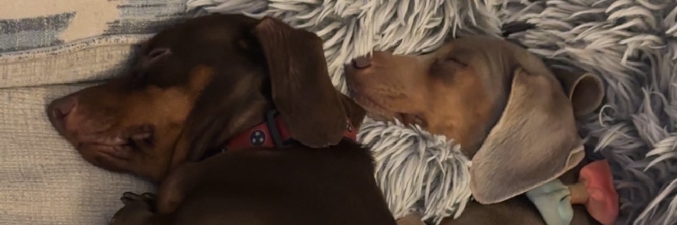 WhitedJeremy's profile banner image
