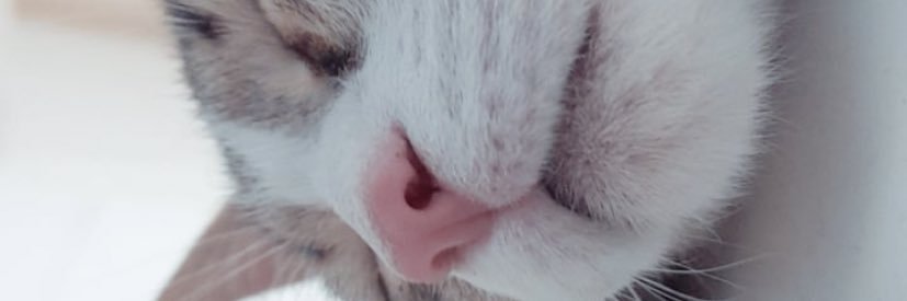 salodmtei's profile banner image