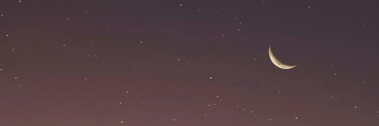 lama_050's profile banner image