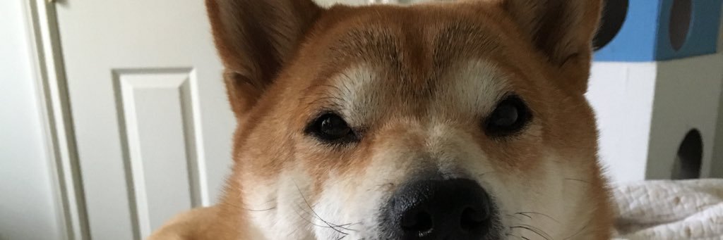 Jay_Dobes's profile banner image