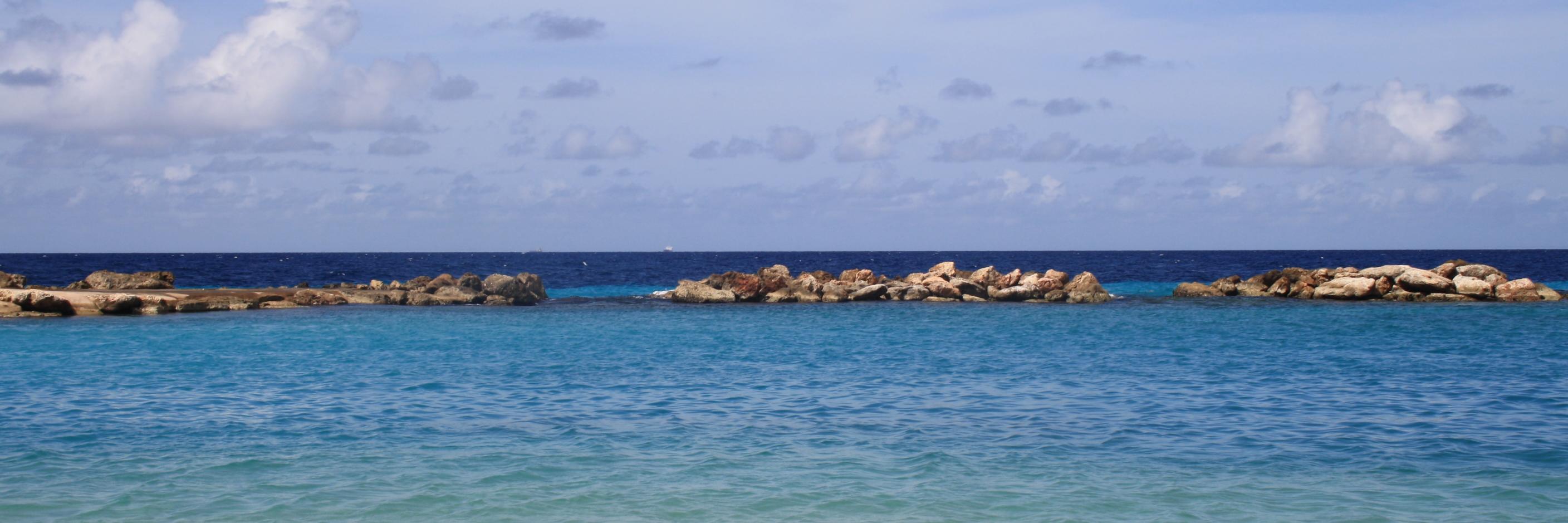 CaroSinPa's profile banner image