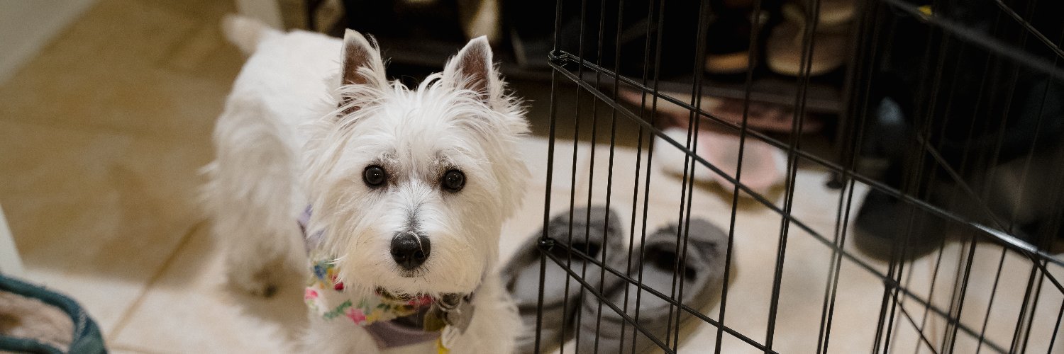 Jonathan Robinson banner