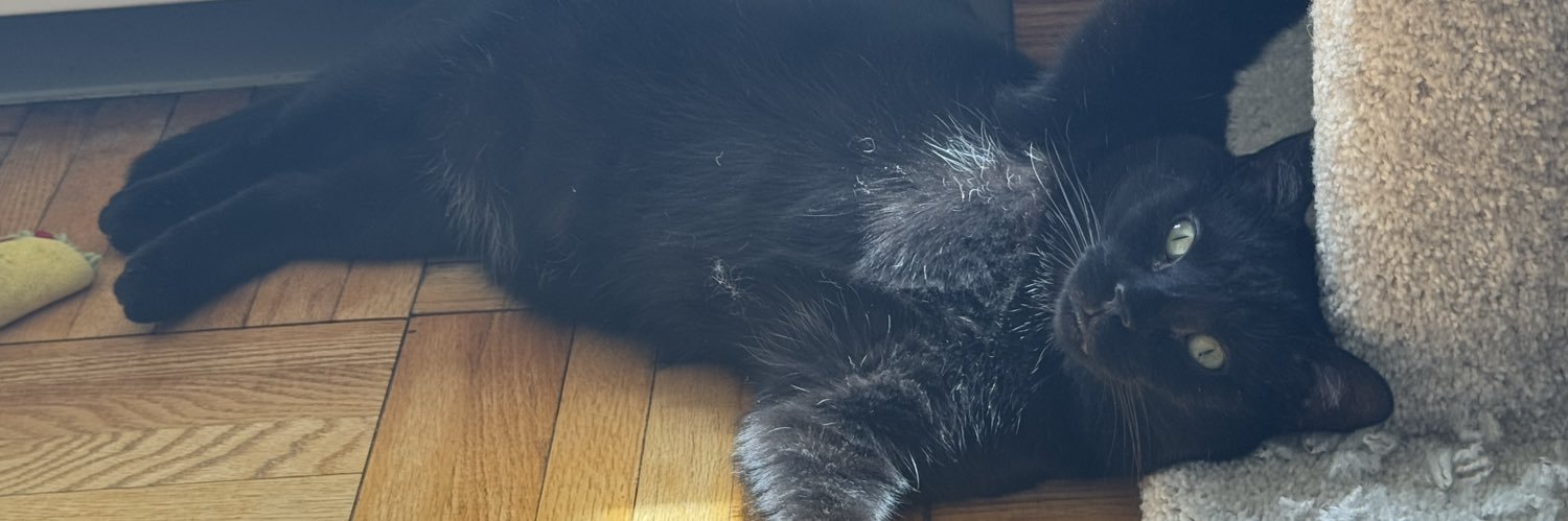 Sarah Sterner banner