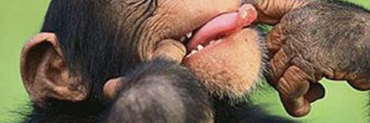 QuantockHillz's profile banner image