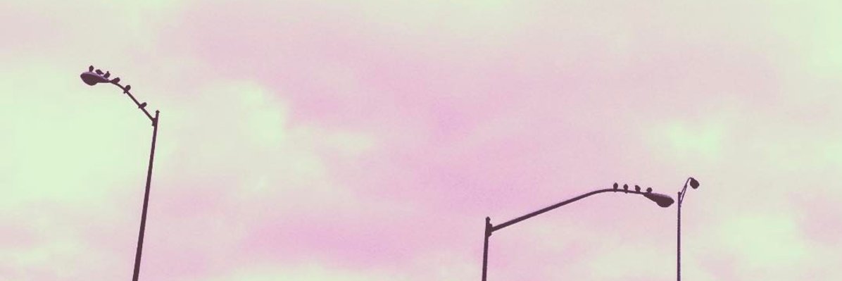 Sleepy_Jenkins's profile banner image
