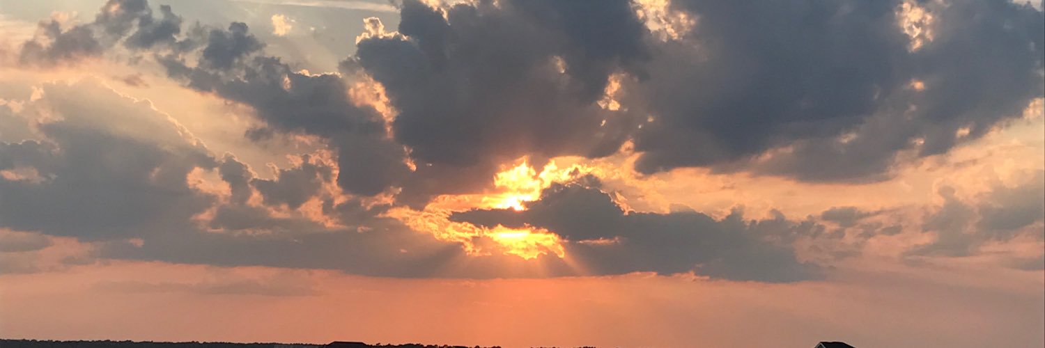 DKrispinsky's profile banner image
