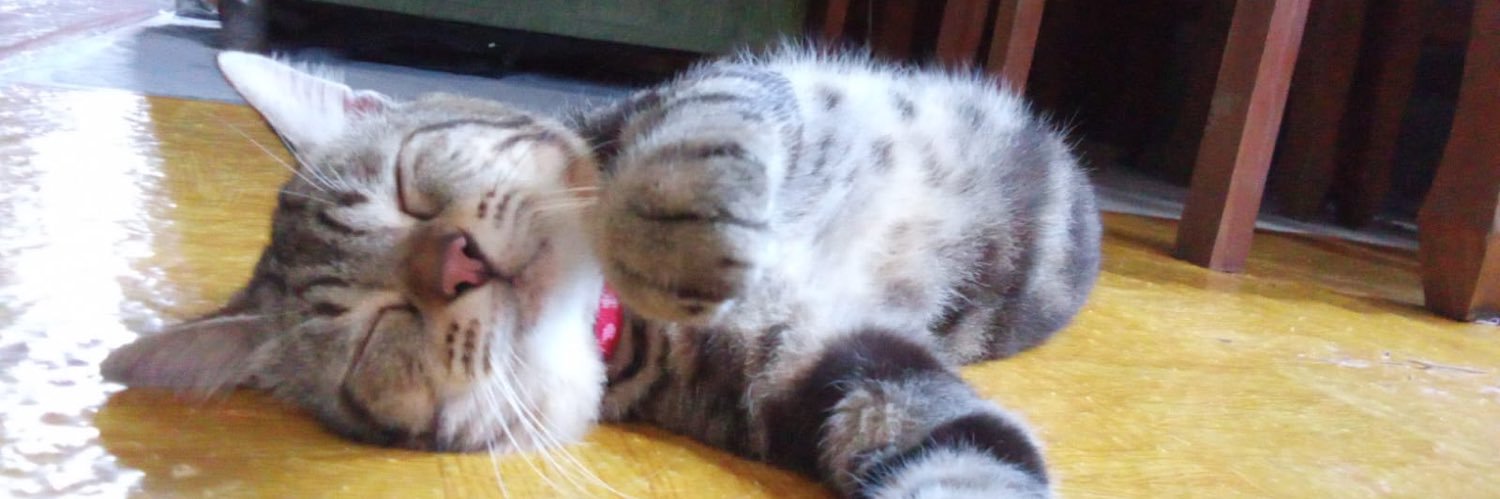 Rare jual koin fish it banner