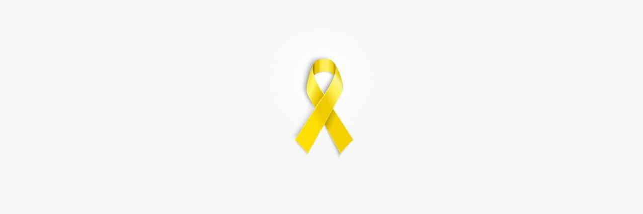 배재정 banner