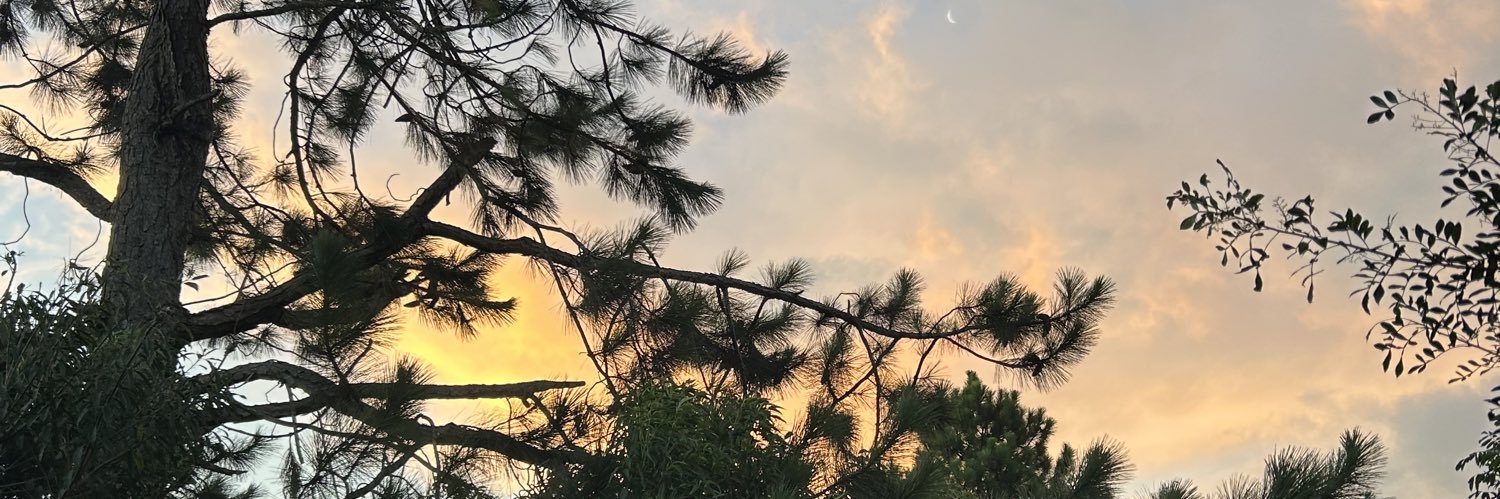Draaque's profile banner image