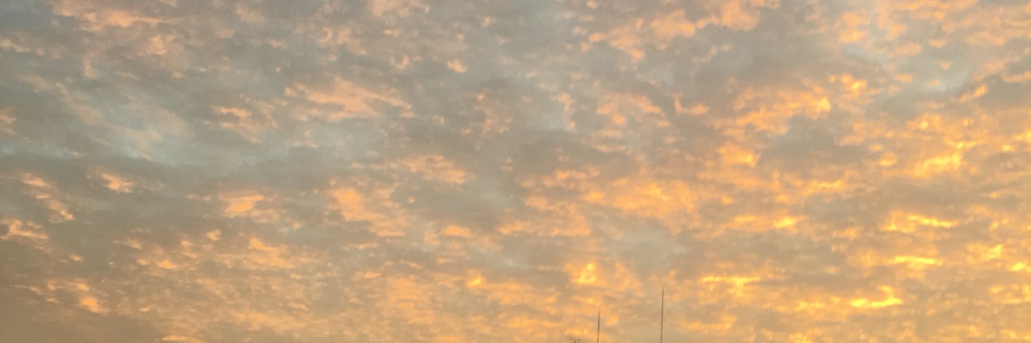 shokunin1192's profile banner image