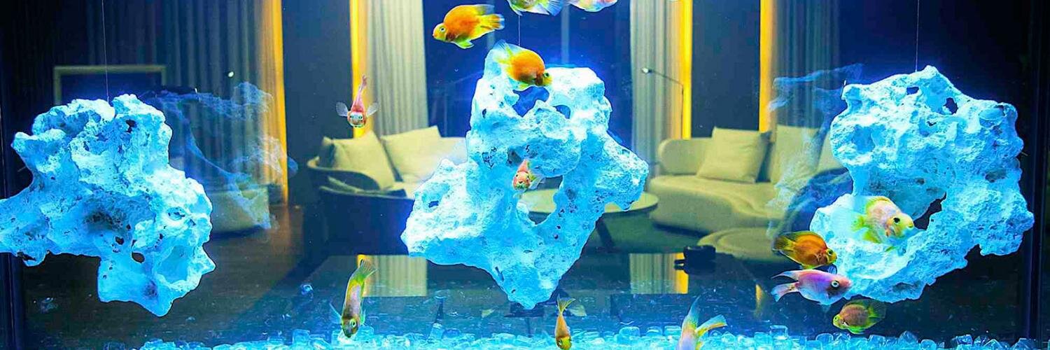 aquamacs's profile banner image