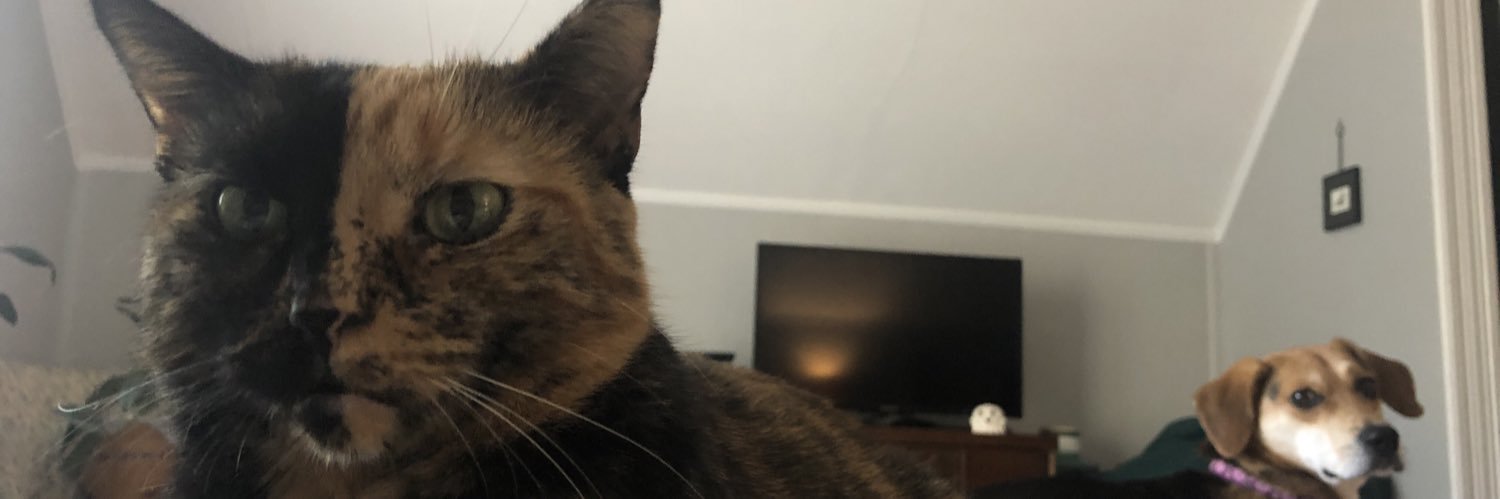 tallmansongs's profile banner image