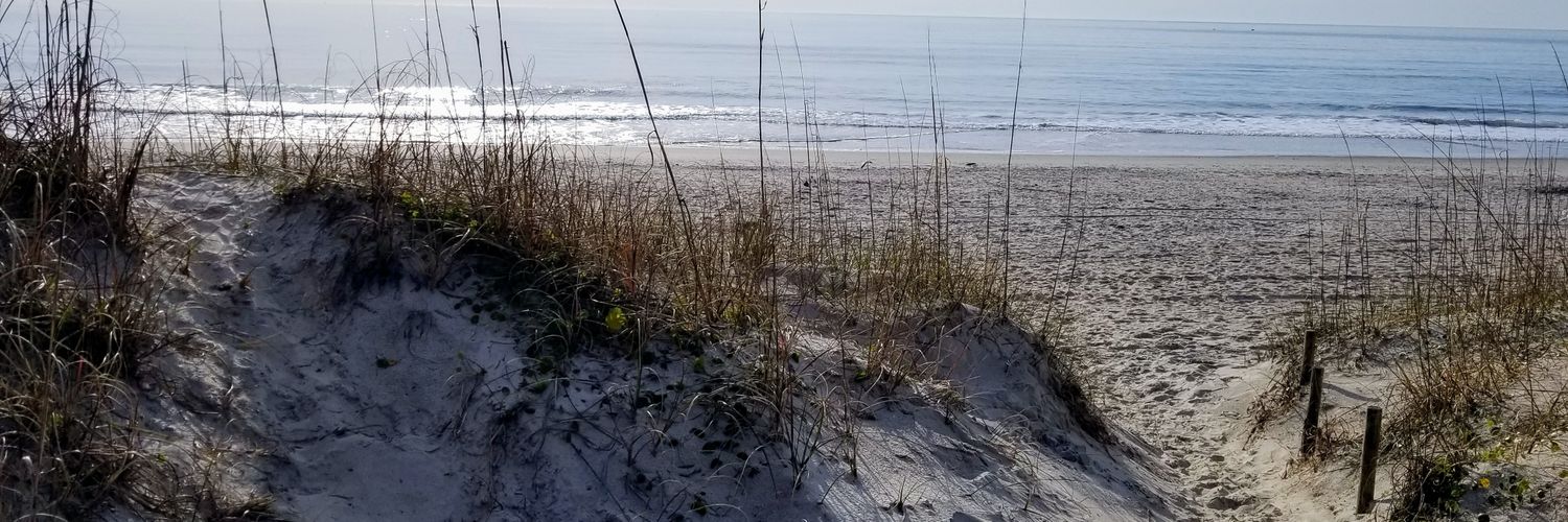 Bryan J Parks banner