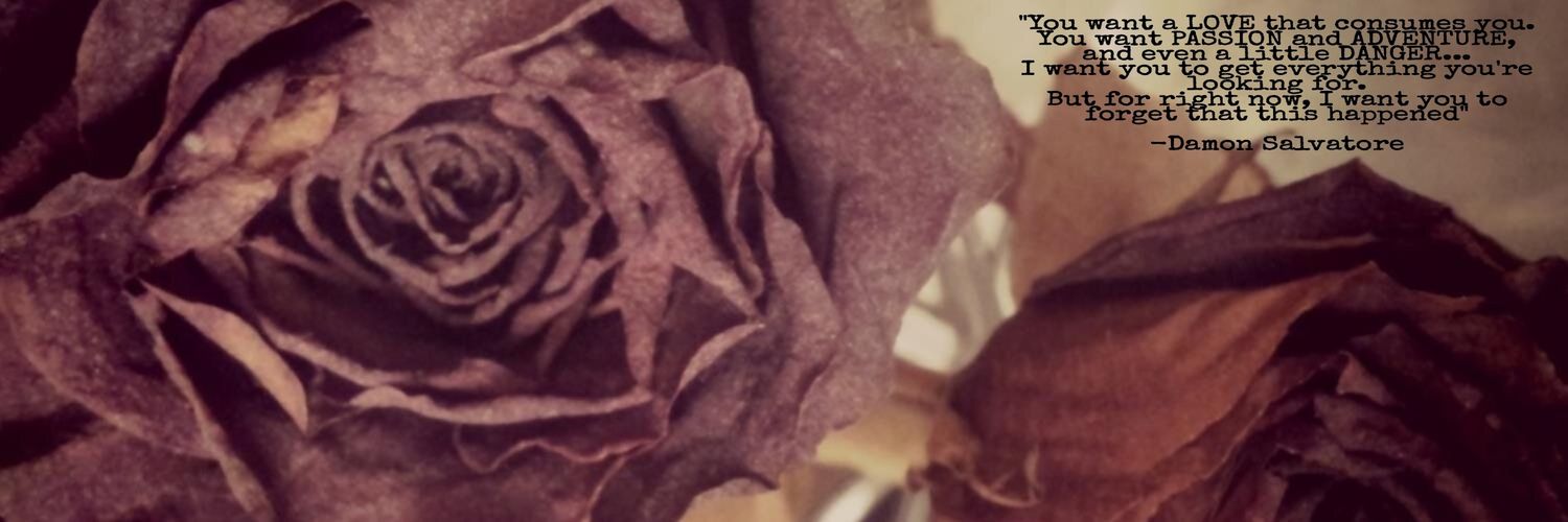 AshleyL331's profile banner image