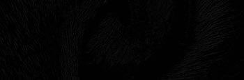 Tieluh_See's profile banner image
