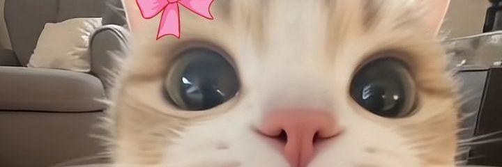 hurinaini's profile banner image