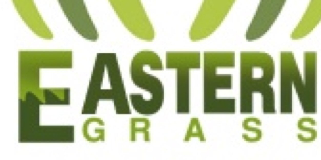 EasternGrass's profile banner image
