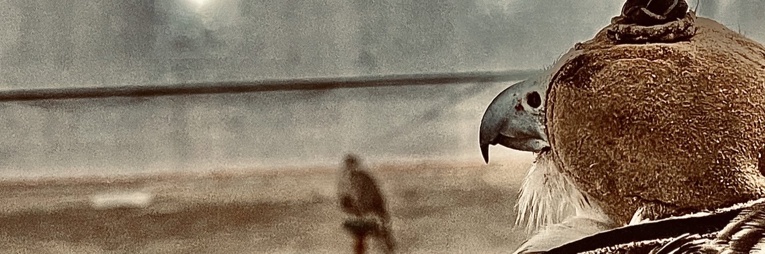 abodee102010's profile banner image