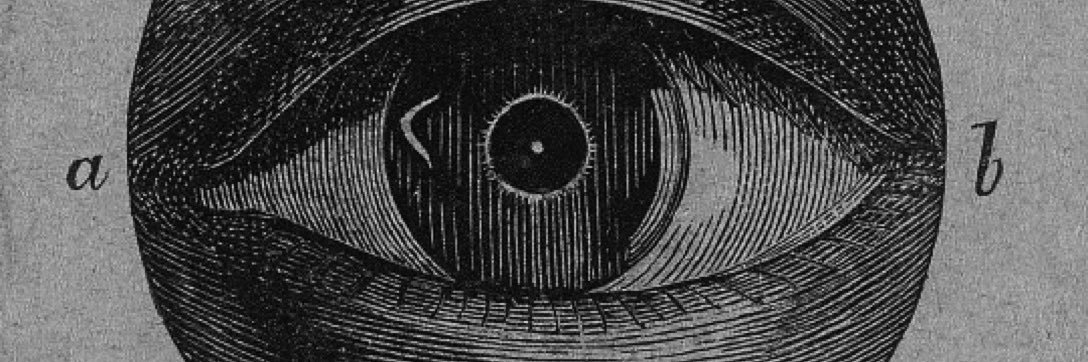 oziel06's profile banner image