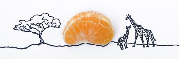 dcossyle Profile Banner