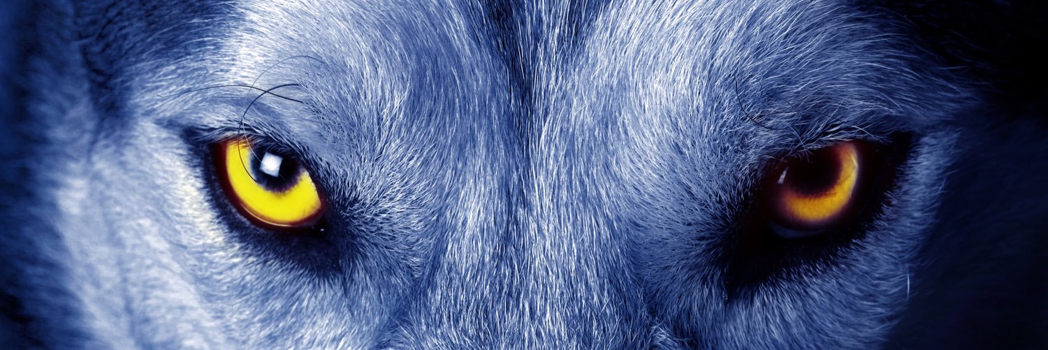 HellzStoic's profile banner image