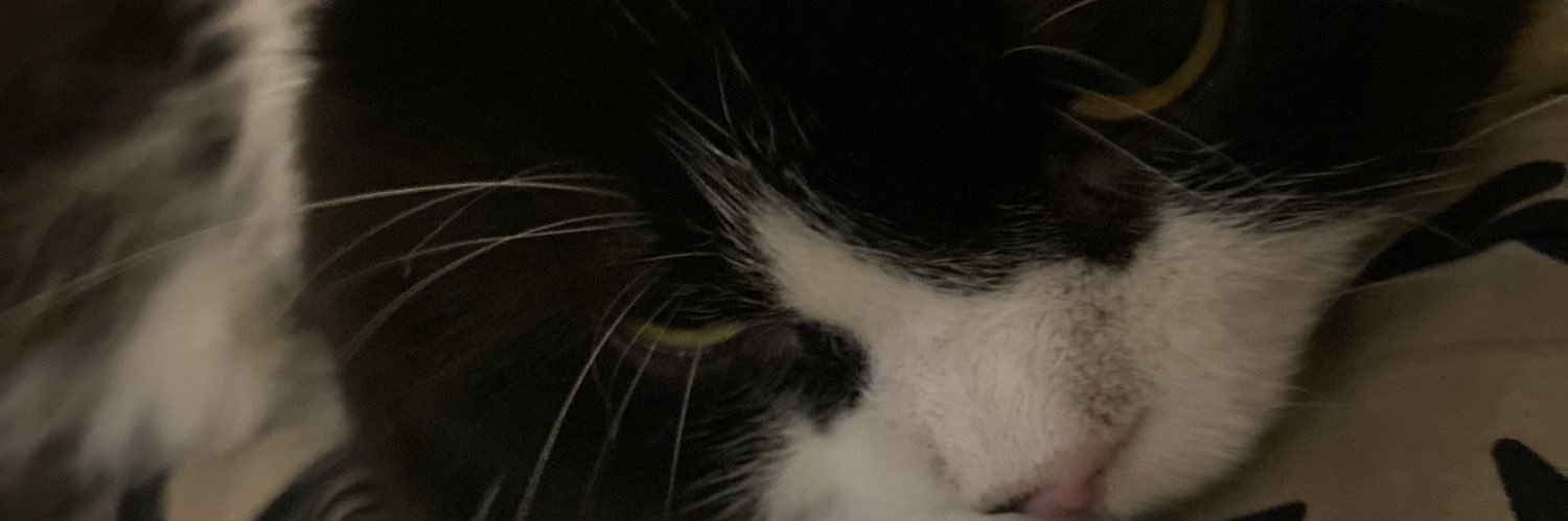 cilpelpanda's profile banner image