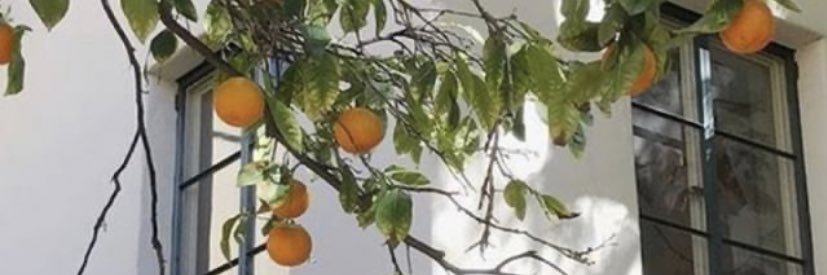 cortadithoe's profile banner image