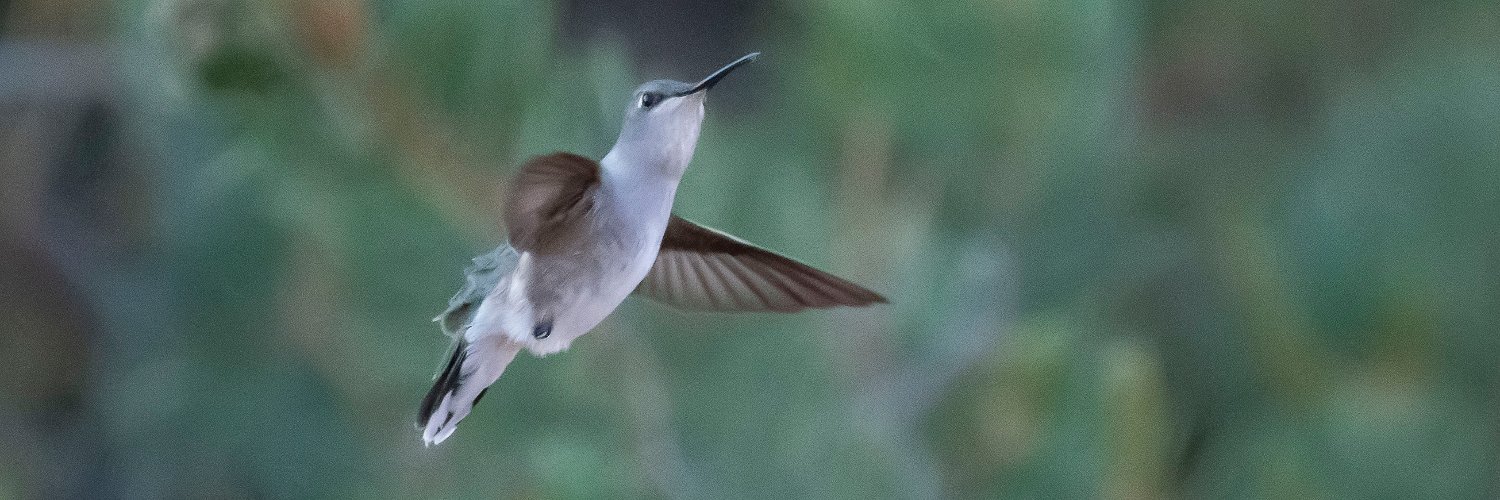 Name can't be blank banner