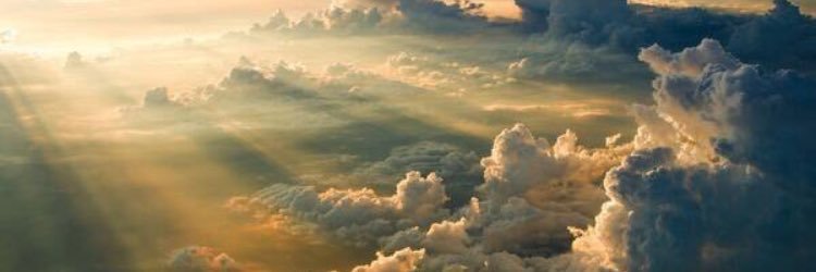 Emily Frederick banner