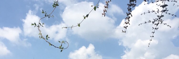 RANA_Alassaf's profile banner image