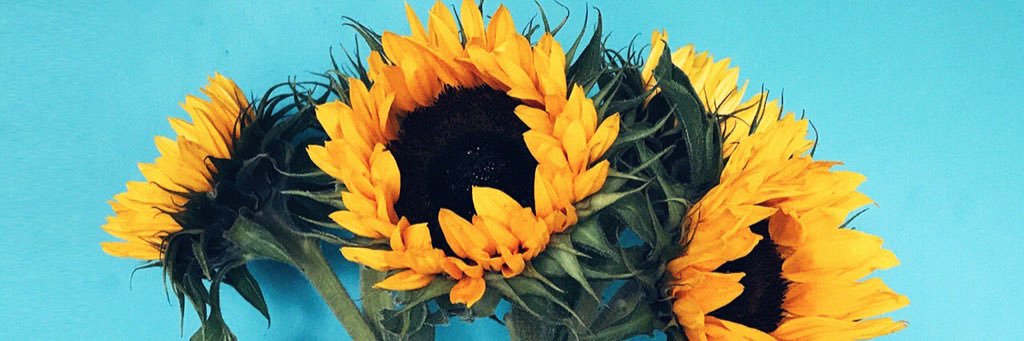CarheePrincess's profile banner image