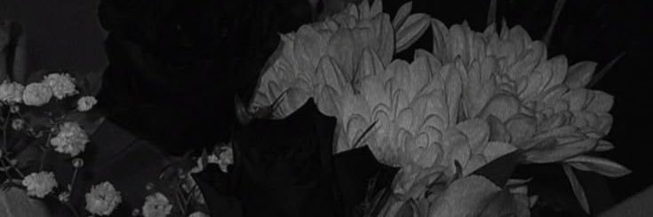 dilatrisyah's profile banner image