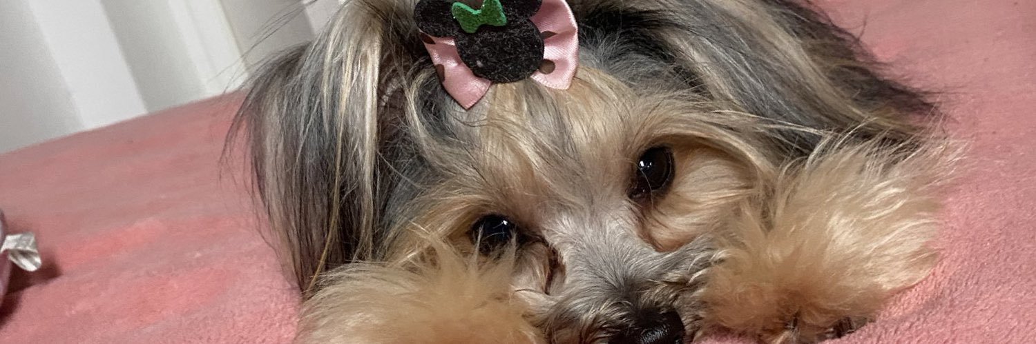 eduardamb_'s profile banner image