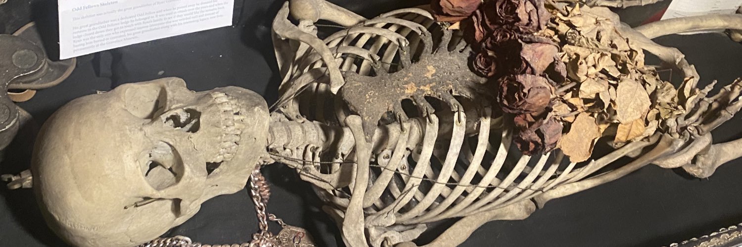 Brunnertron's profile banner image