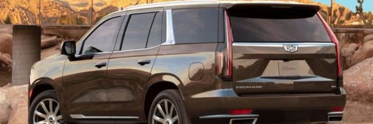 sultan almamari banner