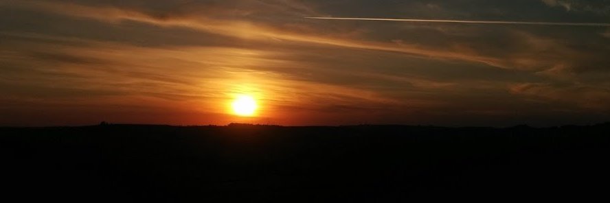 maringavirtual's profile banner image