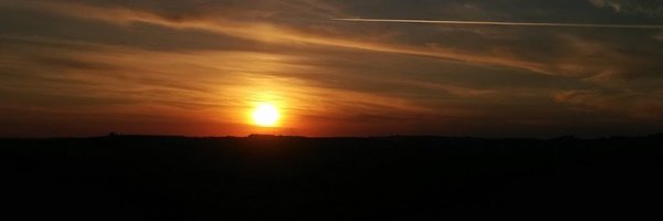 maringavirtual Profile Banner