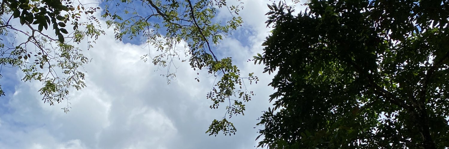 amrdynn's profile banner image