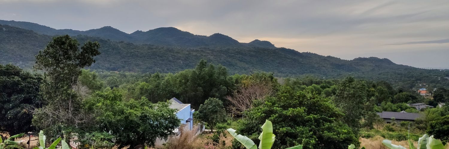 schlafin's profile banner image