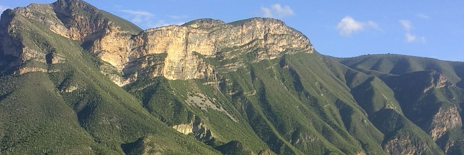 osnart4's profile banner image